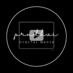 Prudhvi Digitals Logo